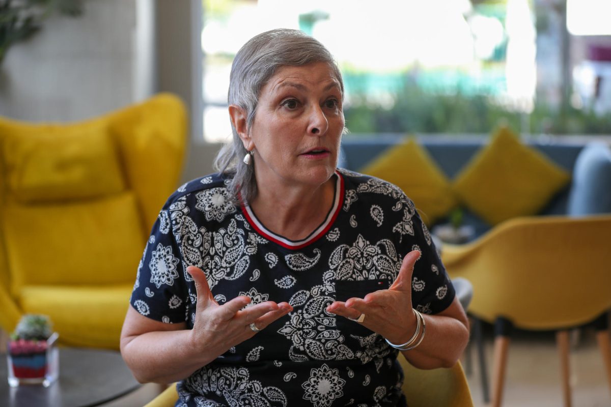 Artesanías pueden sostener la cultura en Ecuador, dice la gestora española Carlota Álvarez Basso Artesanías pueden sostener la cultura en Ecuador, dice la gestora española Carlota Álvarez Basso