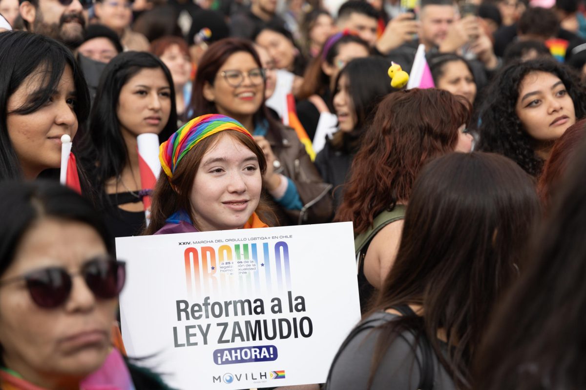 Un Chile aún en lucha celebra los 25 años de la despenalización de la ...