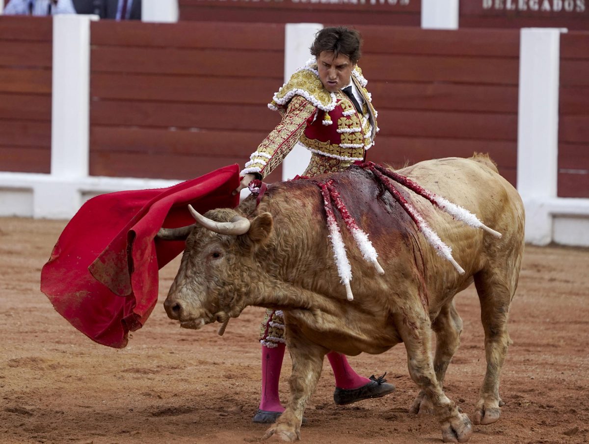 Enrique Ponce se despide de Gijón por la puerta grande con 2 orejas en ...