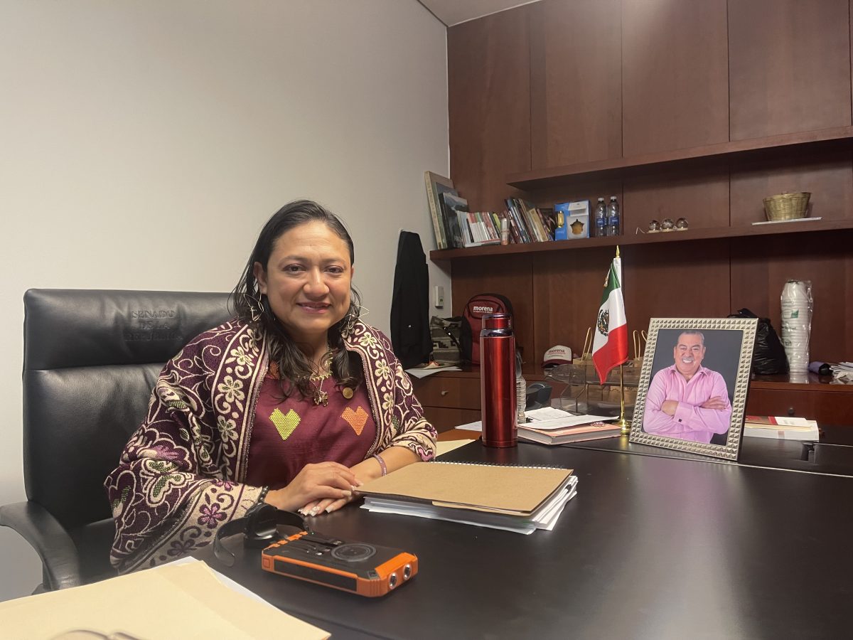 Histórico: de 'soñadora' en EE.UU. a senadora migrante en México