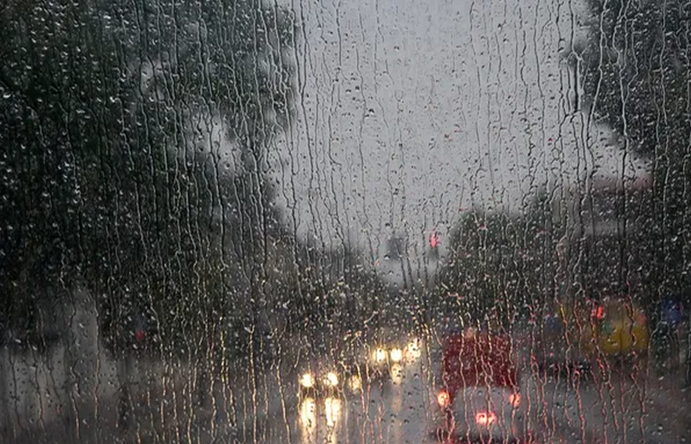 ノースカロライナ州では感謝祭の休日に雨が予想されています