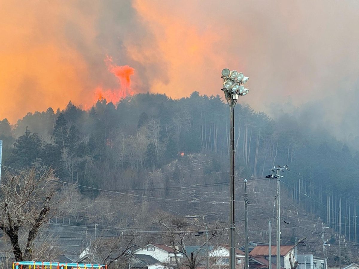 Al menos un muerto y 80 hogares destruidos por un incendio forestal en el noreste de Japón | Qué Pasa
