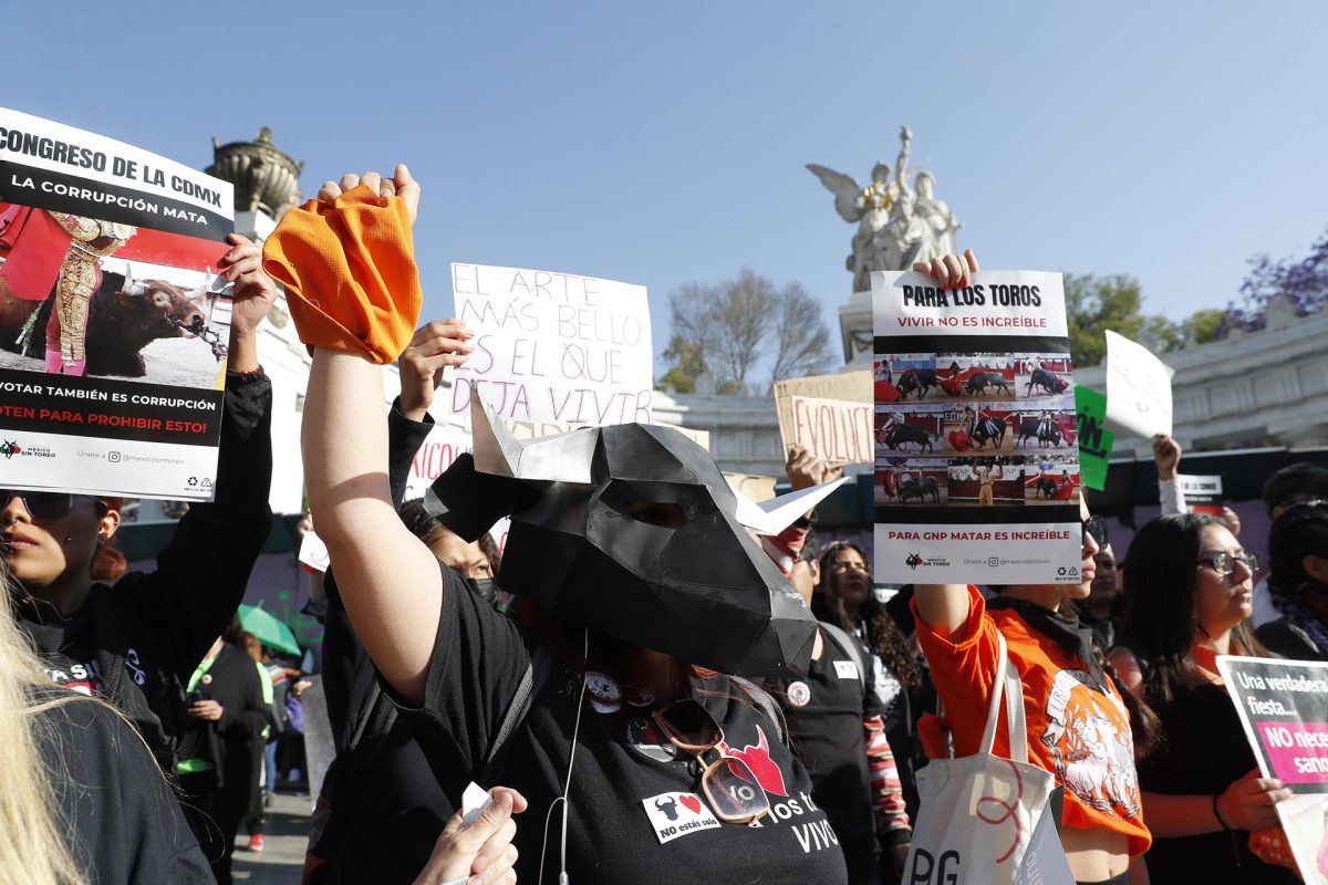 Ciudad de México aprueba las “corridas de toros sin sangre” | Qué Pasa