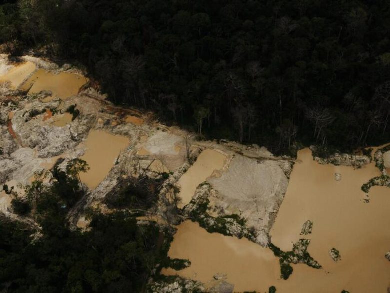 Greenpeace: La minería ilegal del oro destruye 4.000 hectáreas de la ...