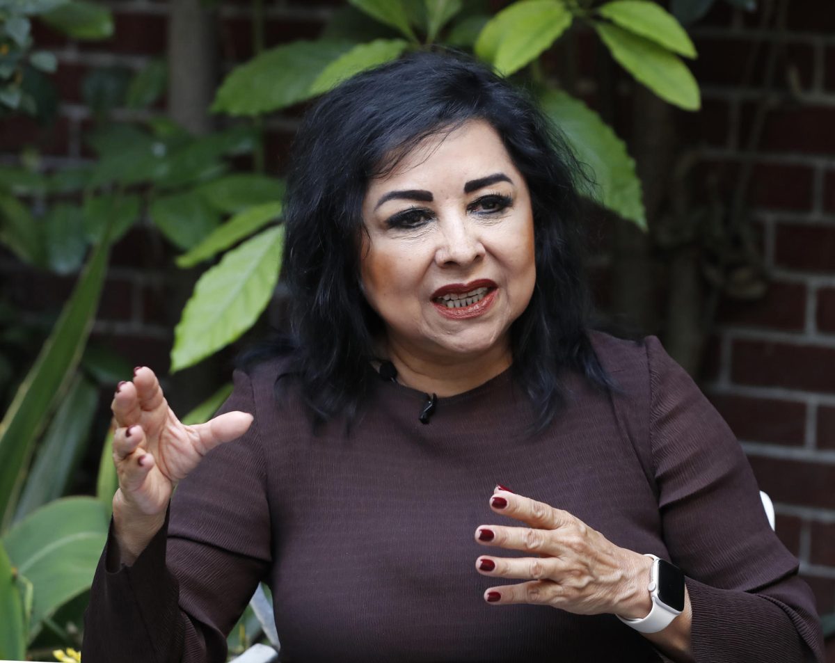 Arly Reyes Candidata a magistrada propone revisar 3 décadas de sentencias injustas ...