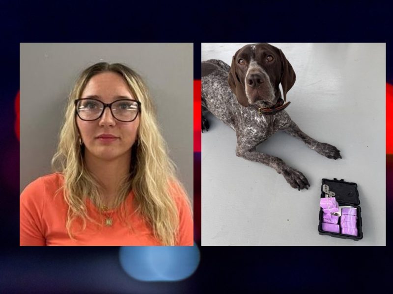 Acusan a hombre de Boone por explotación sexual infantil – quepasamedia.com