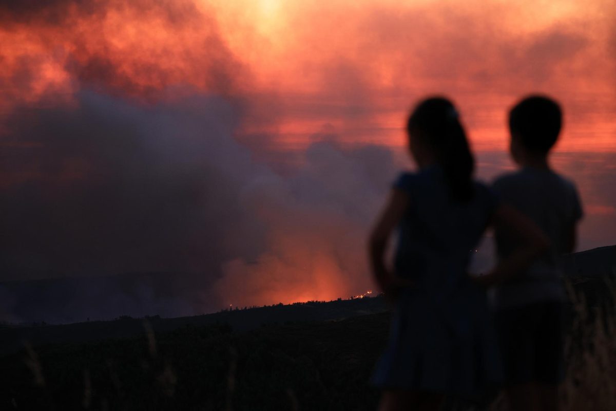 EFE/EPA/ESTELA SILVA