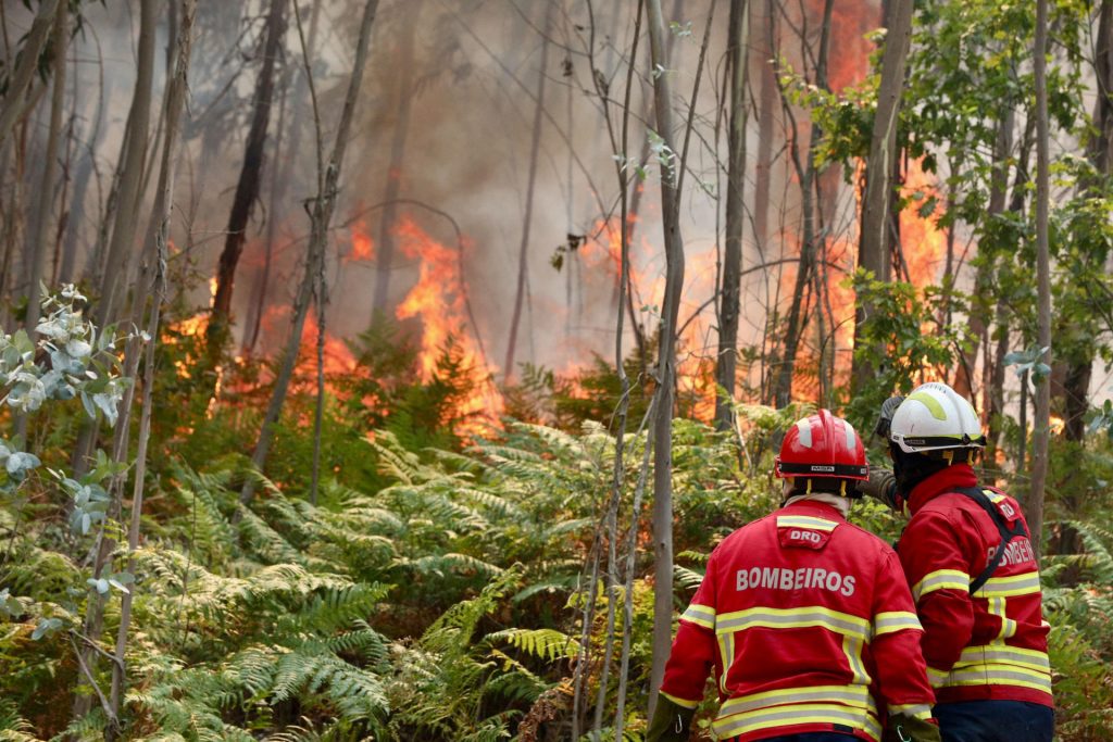 Labores de extinción del incendio que afecta a los alrededores de la localidad portuguesa de Arouca. este miércoles. EFE/ Carlos Garcia