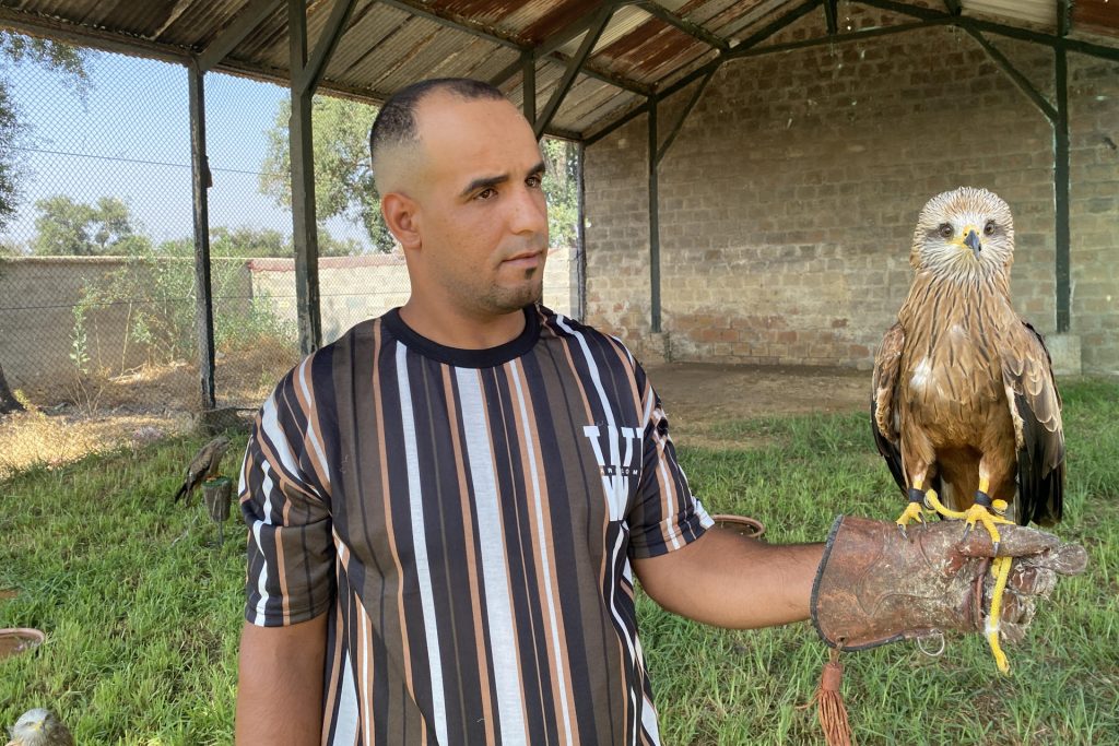 Uno de los miembros posa junto a una de las aves rescatadas en el centro de rehabilitación de rapaces situado a las afueras de Rabat (Marruecos). Un busardo moro rescatado de un mercado ilegal, un búho chico con un ala roto y un buitre moteado con trauma por colisión: estas aves rapaces han encontrado una segunda oportunidad en un centro de rehabilitación en Marruecos que lucha por devolver estos pájaros a su hábitat natural. EFE/ Fatima Zohra Bouaziz