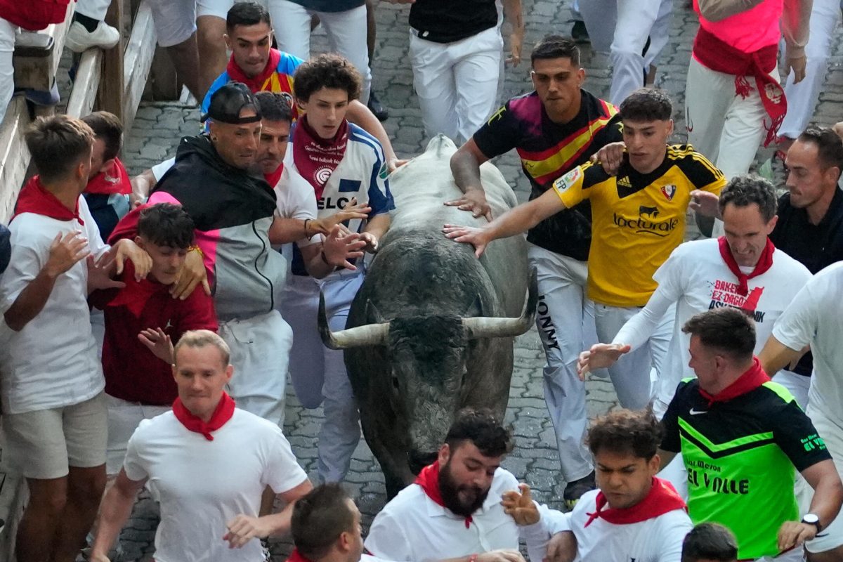Mozos rodean a uno de los toros en el encierro de este 12 de julio Pamplona. EFE/Ainhoa Tejerina
