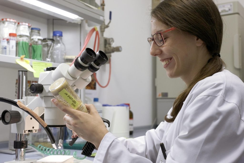 Anna Castells se incorporó en 2019 a la Unidad de Endocrinología, Diabetes y Nutrición del Instituto de Investigación Biomédica de Girona (IDIBGI), donde fundó el laboratorio de Drosophila que estudia los mecanismos que regulan la relación entre el microbioma y la depresión. Imagen facilitada por la propia investigadora.