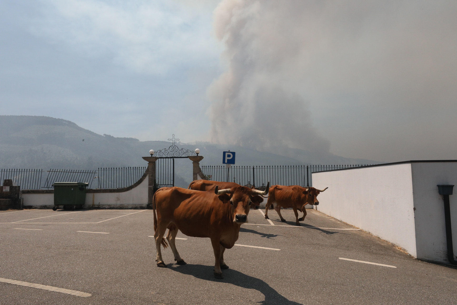 La situación de los incendios se normaliza en Portugal con una ...