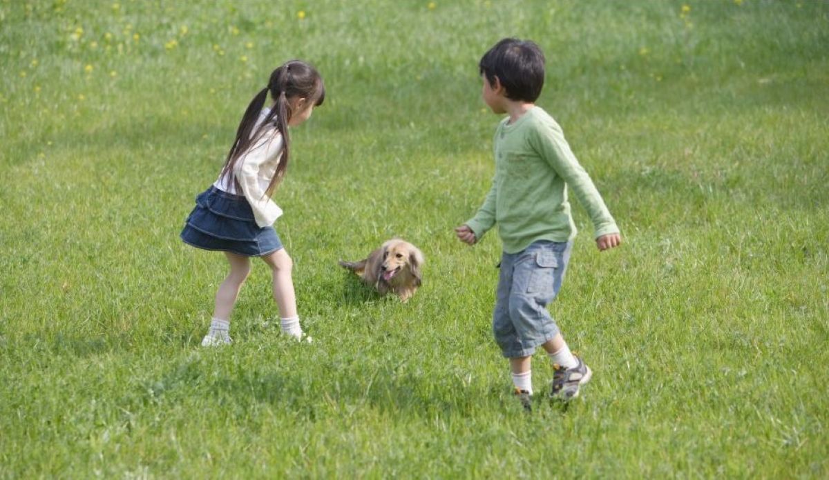 Semana de llevar a los niños al aire libre: jugar en la naturaleza ...