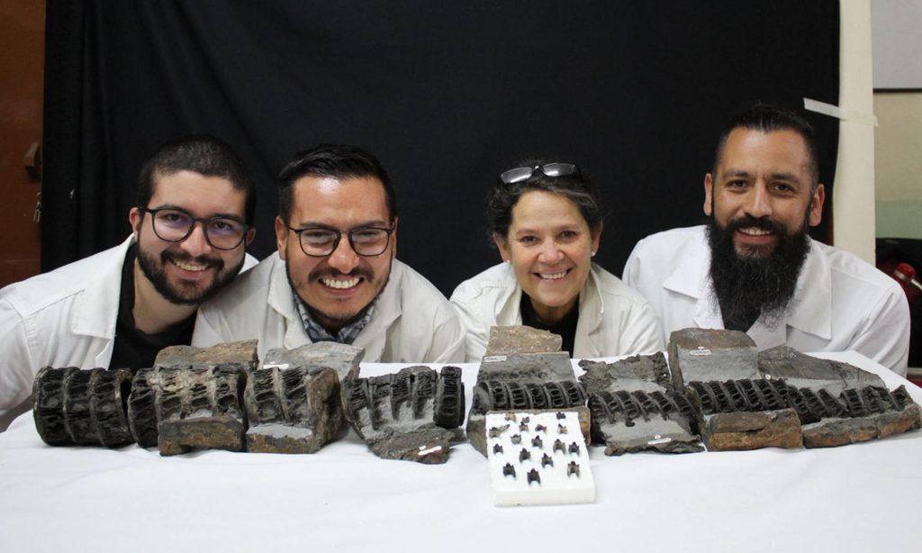 Fotografía cedida por la Universidad Nacional de un grupo de científicos colombianos de la Universidad Nacional y del Servicio Geológico Colombiano posando junto al fósil de un tiburón gigante, que se considera el más completo que existe en el mundo y que fue hallado por un equipo de científicos colombianos en el montañoso departamento de Boyacá (Colombia). EFE/ Universidad Nacional