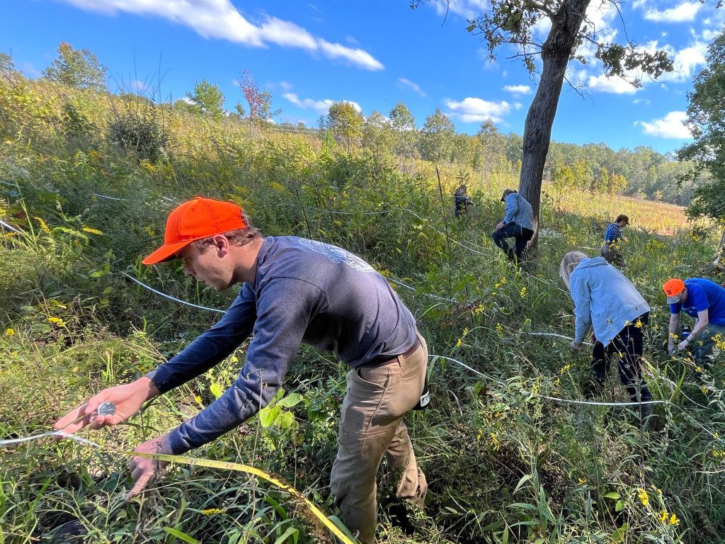 Flores en peligro: así protege Mecklenburg sus especies más raras – quepasamedia.com