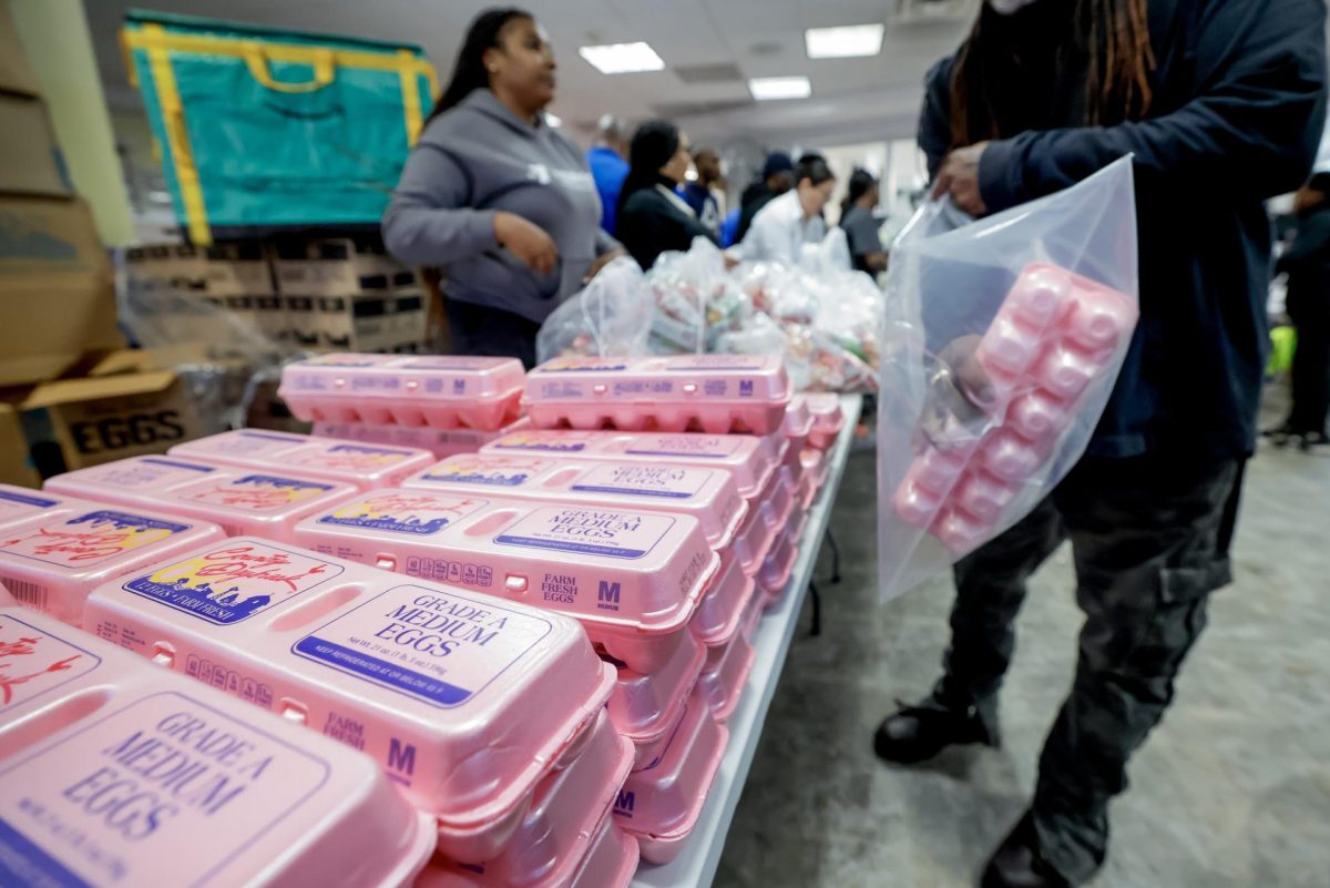 Personas reciben bolsas de ayuda alimentaria durante una distribución gratuita de alimentos en Atlanta, Georgia, EE. UU. EFE/ERIK S. LESSER

