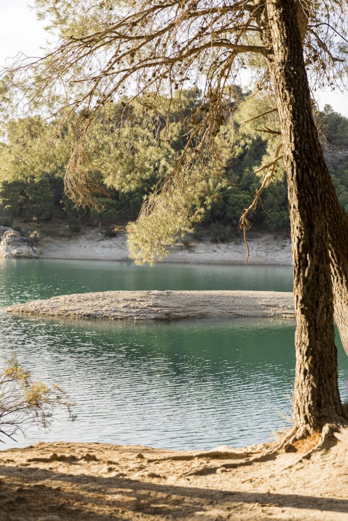 Un río tranquilo puede parecer inofensivo. Sin embargo, después de una lluvia fuerte o con el paso del tiempo, el agua empieza a comerse la orilla, metro a metro. 